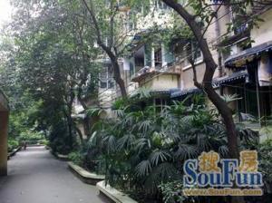 青羊东二路41号2室1厅南