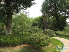 出门地铁,随时看房,出入方便。。。。