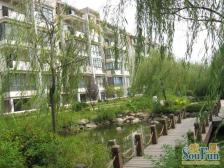 迎宾大道康城 一二楼复试 洋房 送前后阳光房 使用面积大