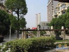 康城印象 南北通透,采光好 视野好,诚心出售