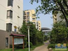 康城印象 南北通透,采光好 中间楼层