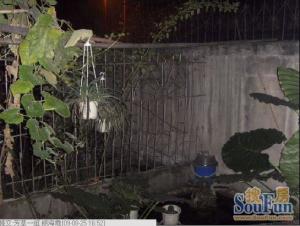 高升桥东路19号 2室1厅 东南