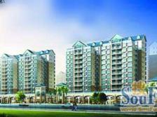 皇朝阁 1室1厅 西南