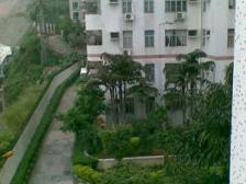 86平3房,总价26万,低价上车好房源