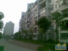 高入住率 近地铁 面积小 总价低 贴近江边 满五不唯一