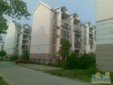 康桥绿城C区 南北通透,采光好 视野好,诚心出售