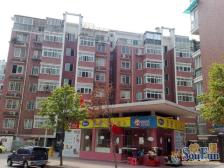 朝阳洲 框架结构 高楼层 全天太阳