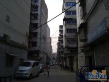 青山南路青山路住宅小区 南北通透,采光好 装修好,环镜优美 视野好,诚心出售