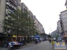 青山南路青山路住宅小区 南北通透,采光好 视野好,诚心出售