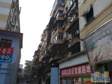 青山路小区1室1厅南