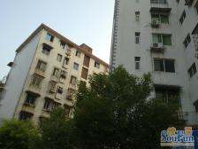 青山南路青山路住宅小区 南北通透,采光好 视野好,诚心出售