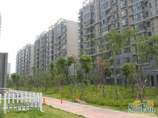 青云明珠 南北通透,采光好 装修好,环镜优美 近地铁 视野好,诚心出售