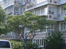 低总价三房,户型方正、空间利用合理,采光好