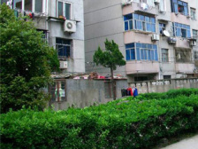 好莱坞小区 1室1厅 南 北