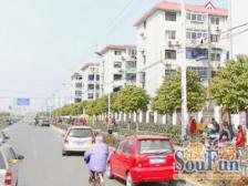 诚意出售看房方便