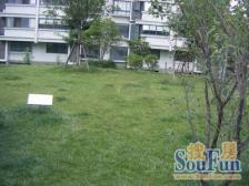 金诚花园1室2厅1卫东南朝向680.00万元/套出售