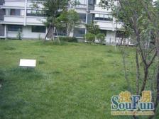 交通便利,近商圈,诚意出售,刚需好房