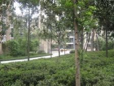 轻轨旁正规一房 户型方正 视野好 业主诚心