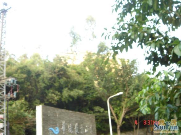 华侨海景山庄实景图