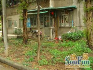 客村板块新中轴旁配套齐全少有放盘的独栋私房带天台