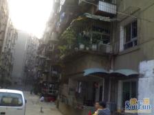 洪都中大道18号商苑小区 南北通透,采光好 视野好,诚心出售