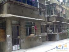 洪都中大道18号商苑小区 南北通透,采光好 中间楼层