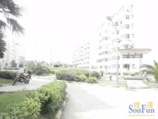 舒适怡人的居住环境,生活的保障,交通便利,生活购物