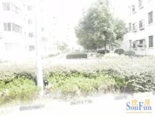 铁路九村(南铁世纪花园) 南北通透,采光好 装修好,环镜优美 近地铁 周边匹套完善,,出行方便