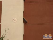 香澄苑 南北通透,采光好 装修好,环镜优美 周边匹套完善,,出行方便