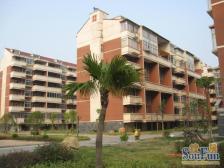 房东买来住到现在房子住起来舒适环境融洽需亲自体会