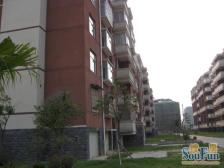 南北通透户型 南边视野开阔 ,遮挡楼层比较好 光线好