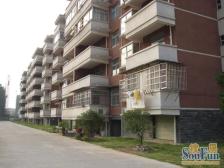 香澄苑 南北通透,采光好 装修好,环镜优美 视野好,诚心出售