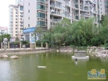 象湖源 南北通透,采光好 视野好,诚心出售