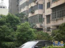 云丰花园南北通透,采光好近地铁视野好,诚心出售