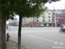 上海路交界小区交通便利光线好结构好