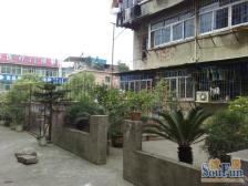 通透两房朝南,太阳好间间有窗,户型实用