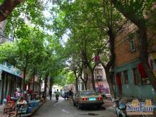 朱紫巷社区 3室2厅 南 北