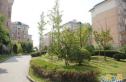 经纬城市花园实景图