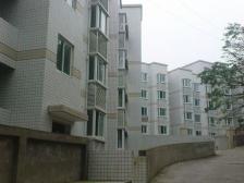 鱼洞 工农坡(巴南)一房18万