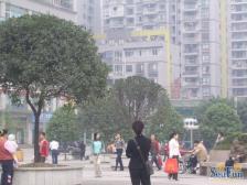 步行街 春晖御庭一房43.9万