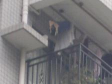 春晖御庭 1室1厅 南