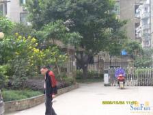 交通便利,生活配套齐.全看湖.