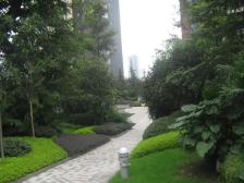 高新区 同天观云邸三房149万