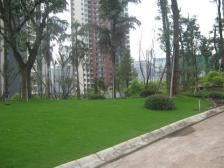 同天观云邸 朝南大三房 诚心出售