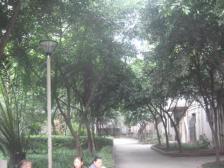 此房满五,楼梯房,户型方正出行便利。