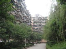 此房住家装修,家电齐全,格局好,户型方正,拎包入住