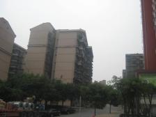 两路口桂花园血库一室可变二,采光好出行方便