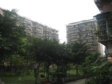 两路口轻轨 桂花园五十七 低楼层 可看房 可贷款