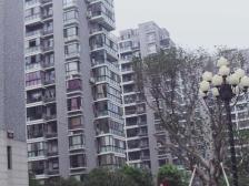 采光性和通透性都很好,设计比较合理