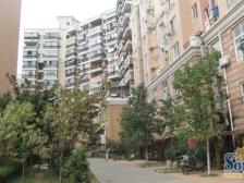 枫庐新天地 小一房 诚心卖 随时看